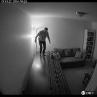 Gemini 25 Flash Image Preview Img904 20250908 170522 Evening Surveillance