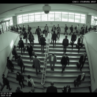 Gemini 25 Flash Image Preview Img905 20250908 170522 Morning Surveillance