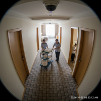 Gemini 25 Flash Image Preview Img916 20250908 170524 Morning Surveillance