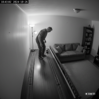 Gemini 25 Flash Image Preview Img9406 20250908 171814 Evening Surveillance