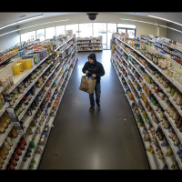 Gemini 25 Flash Image Preview Img9466 20250908 171817 Afternoon Surveillance