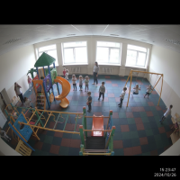 Gemini 25 Flash Image Preview Img9470 20250908 171817 Afternoon Surveillance