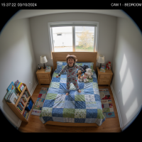 Gemini 25 Flash Image Preview Img947 20250908 170528 Bedroom Afternoon Surveillance