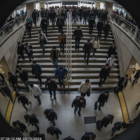 Gemini 25 Flash Image Preview Img9485 20250908 171818 Morning Surveillance