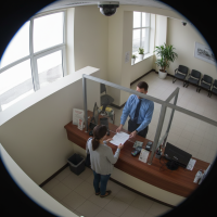 Gemini 25 Flash Image Preview Img9488 20250908 171818 Morning Surveillance