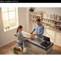 Gemini 25 Flash Image Preview Img9541 20250908 171820 Afternoon Surveillance