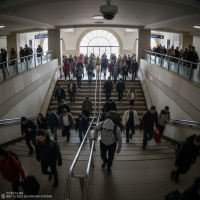 Gemini 25 Flash Image Preview Img9563 20250908 171821 Morning Surveillance