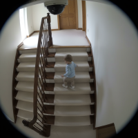 Gemini 25 Flash Image Preview Img9603 20250908 171823 Daytime Surveillance