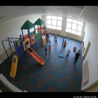 Gemini 25 Flash Image Preview Img968 20250908 170532 Afternoon Surveillance