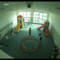 Gemini 25 Flash Image Preview Img9704 20250908 171827 Afternoon Surveillance