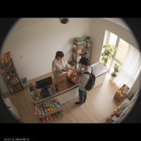 Gemini 25 Flash Image Preview Img9775 20250908 171830 Afternoon Surveillance