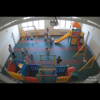 Gemini 25 Flash Image Preview Img9782 20250908 171830 Afternoon Surveillance