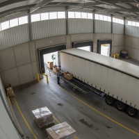 Gemini 25 Flash Image Preview Img9812 20250908 171832 Morning Surveillance