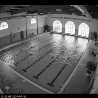 Gemini 25 Flash Image Preview Img9817 20250908 171832 Afternoon Surveillance