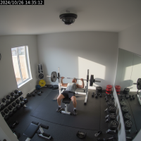 Gemini 25 Flash Image Preview Img9820 20250908 171832 Afternoon Surveillance