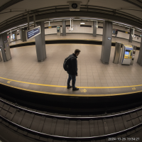 Gemini 25 Flash Image Preview Img982 20250908 170534 Evening Surveillance