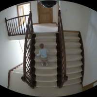 Gemini 25 Flash Image Preview Img9837 20250908 171833 Daytime Surveillance