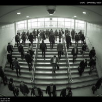 Gemini 25 Flash Image Preview Img983 20250908 170534 Morning Surveillance