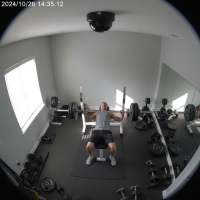 Gemini 25 Flash Image Preview Img9898 20250908 171835 Afternoon Surveillance